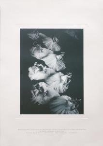 Les Sylphides